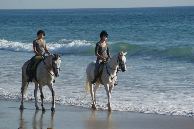 Two riders on white horses