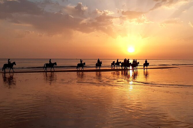Silhouettes of riders on horses at low tide during a golden sunset.