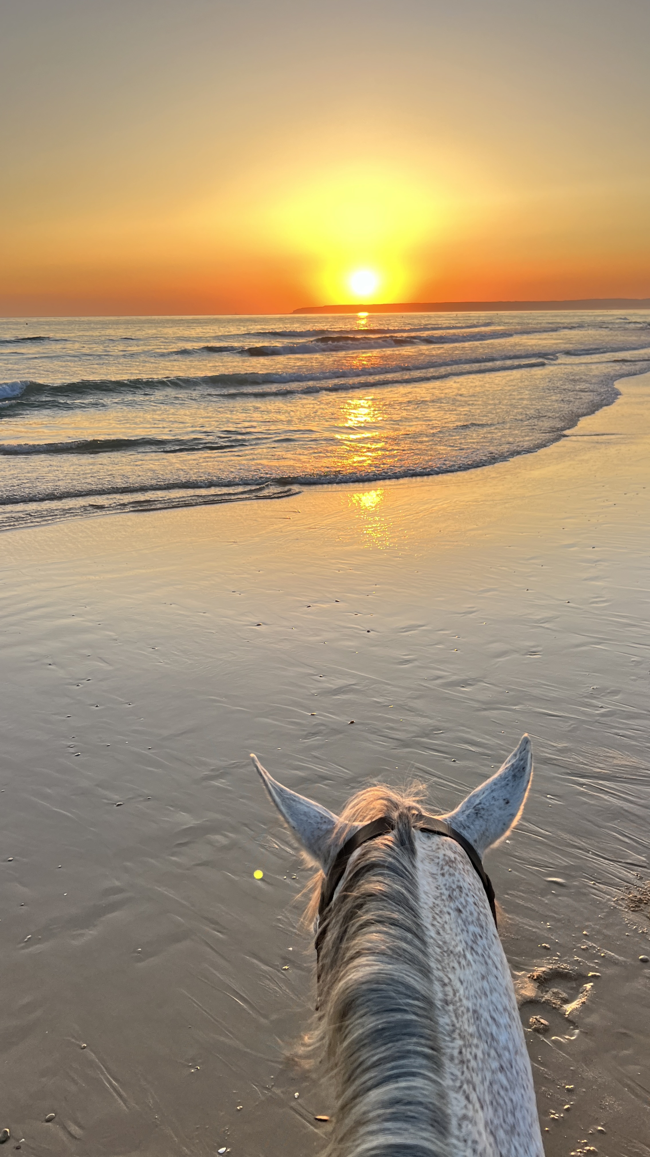First-person sunset view from horseback